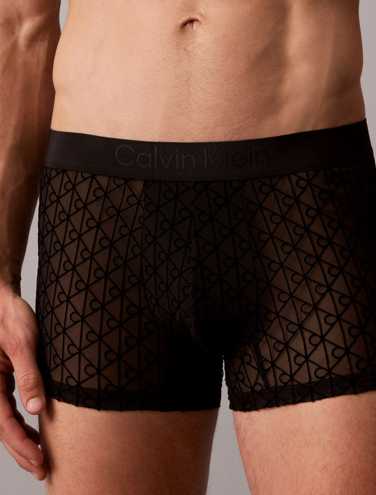 Calvin Klein CK Black Sheer Mesh Trunk