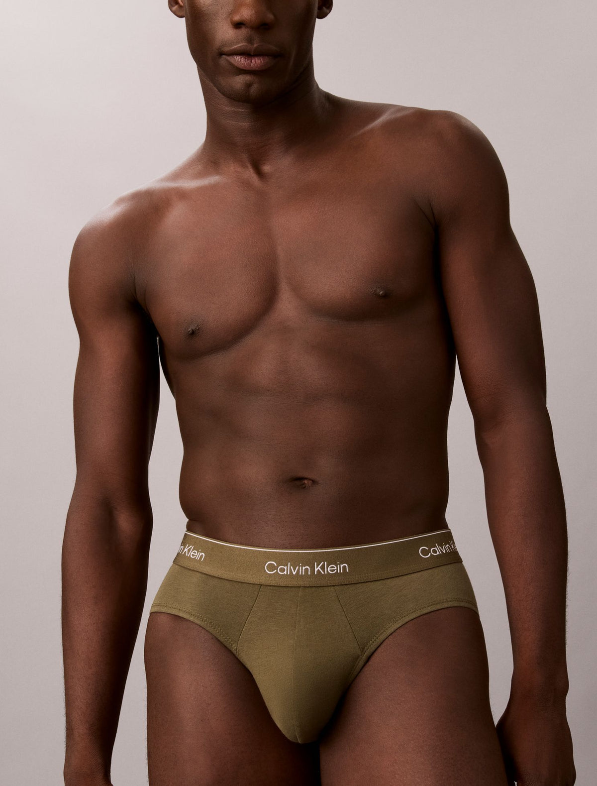 Calvin Klein Icon Cotton Stretch 3-Pack Hip Brief
