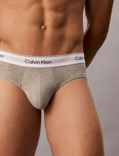 Calvin Klein Icon Cotton Stretch 3-Pack Hip Brief