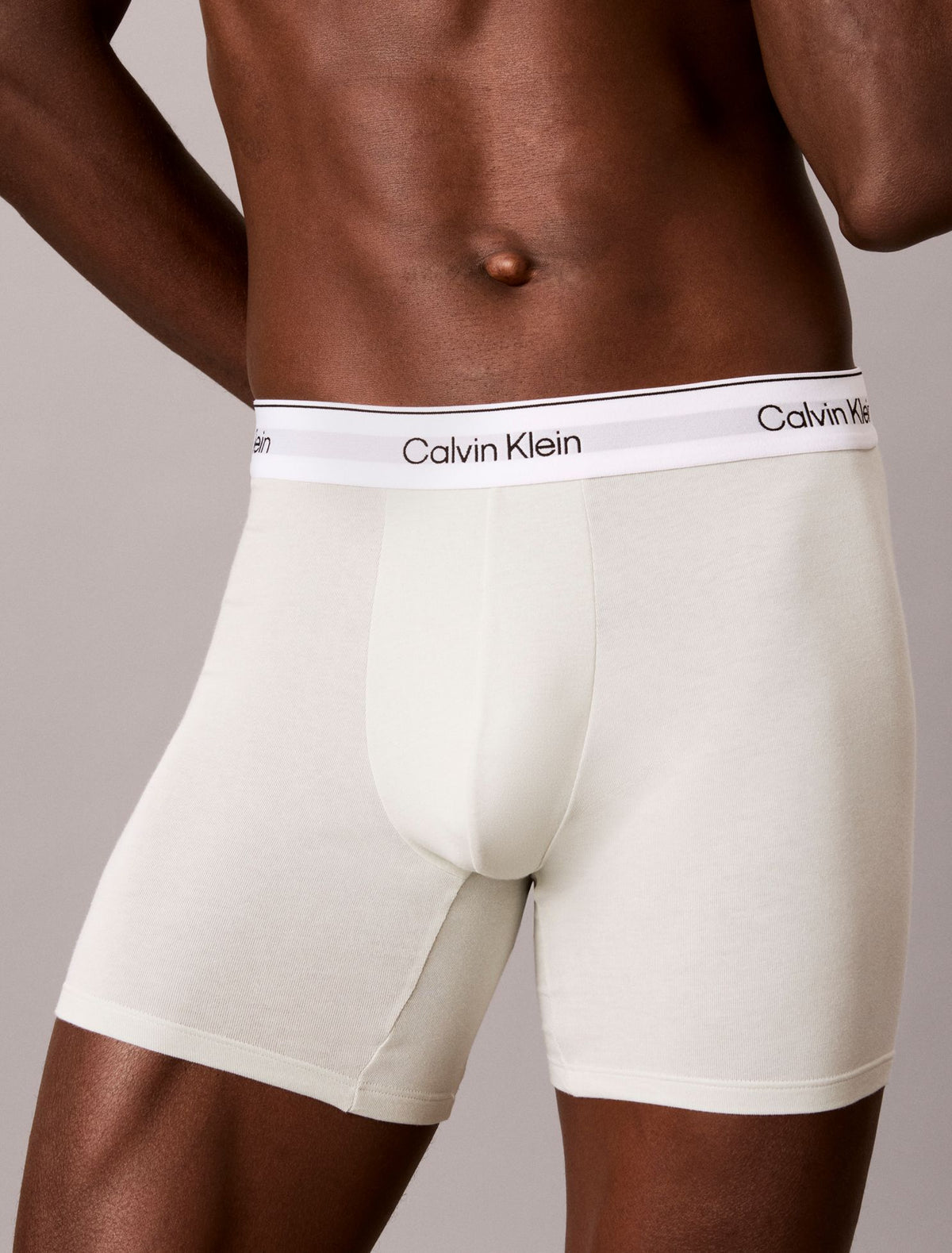 Calvin Klein Icon Cotton Stretch Boxer Brief