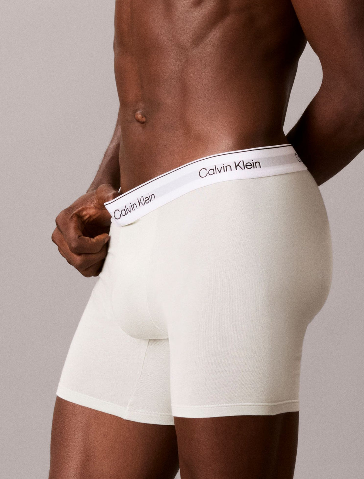Calvin Klein Icon Cotton Stretch Boxer Brief