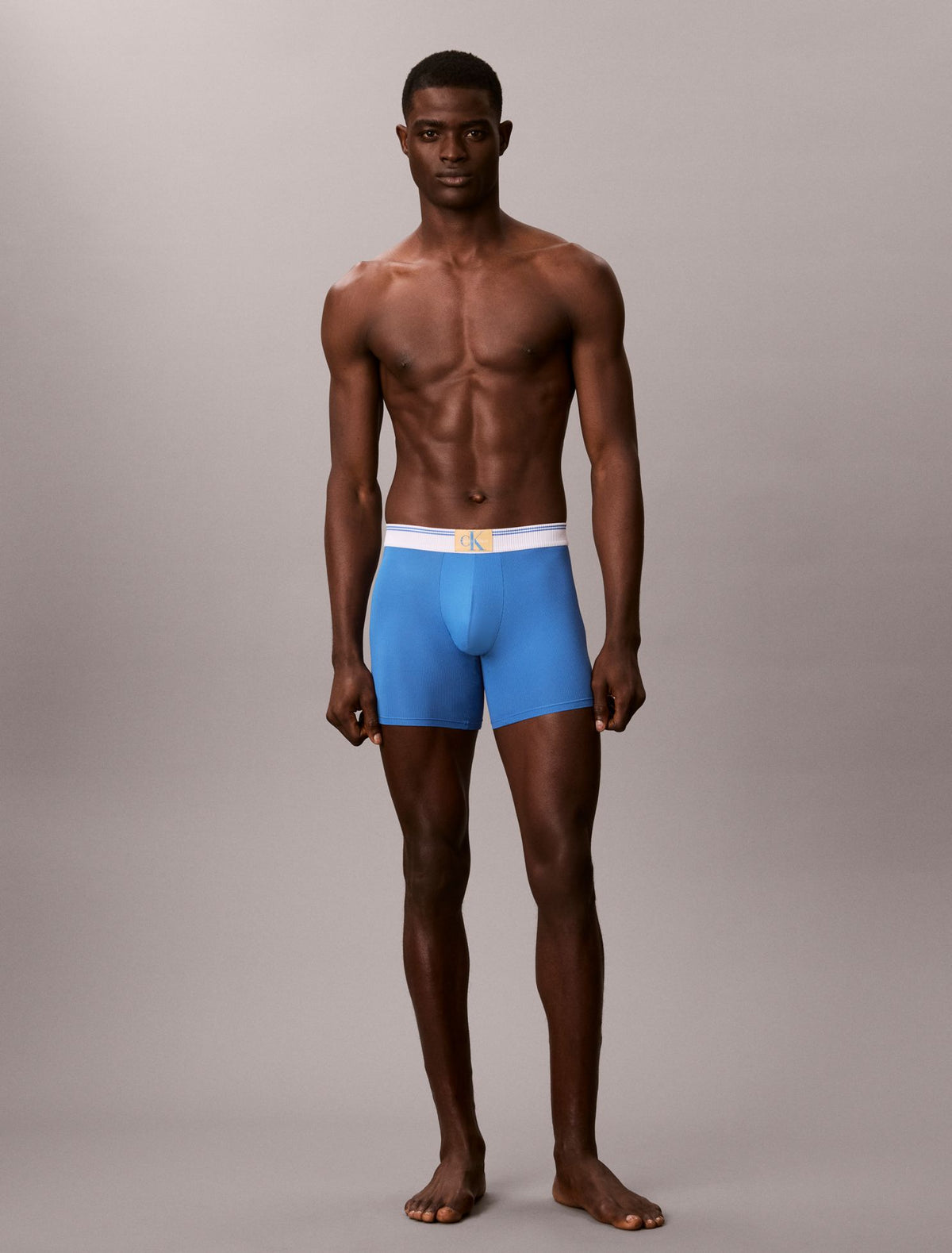 Calvin Klein Graphic Monogram Microfiber Stretch Rib Boxer Brief
