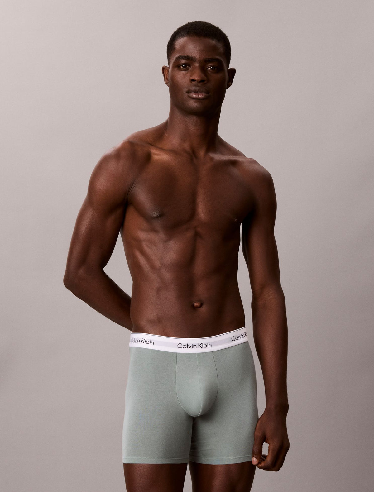Calvin Klein Icon Cotton Stretch Boxer Brief