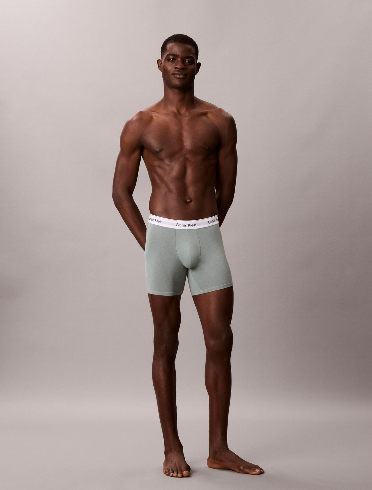 Calvin Klein Icon Cotton Stretch Boxer Brief
