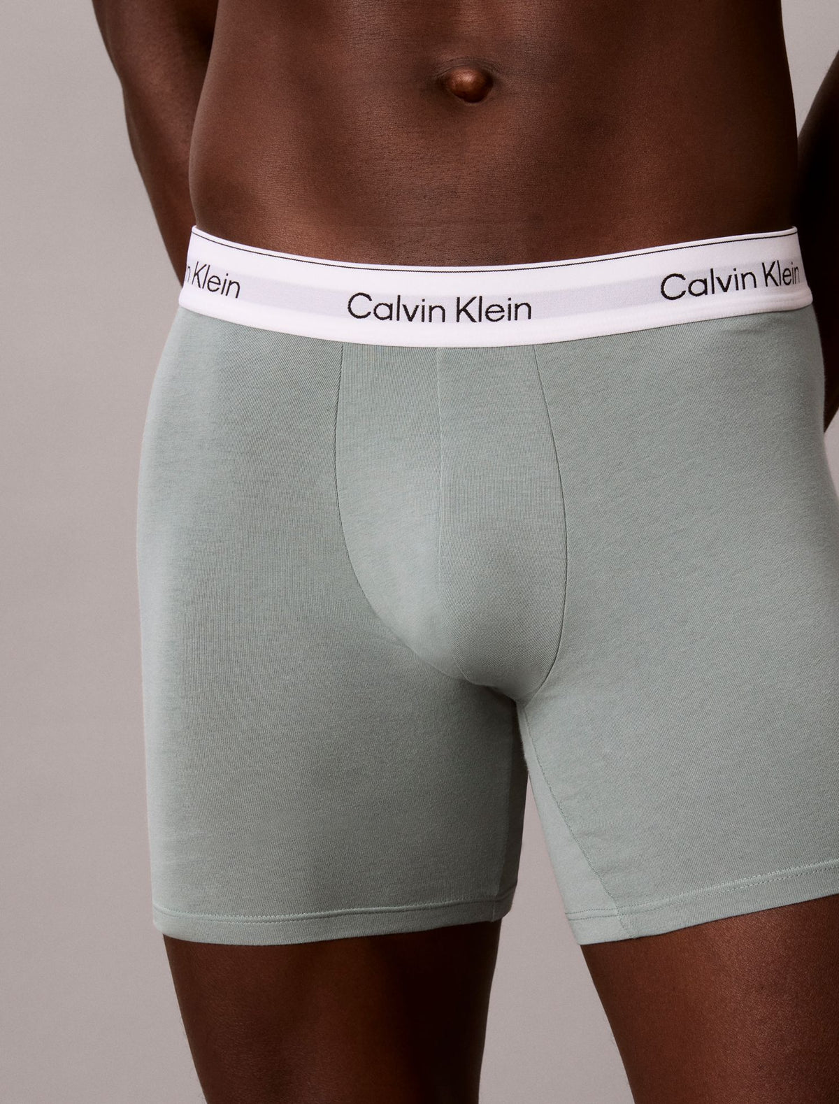 Calvin Klein Icon Cotton Stretch Boxer Brief