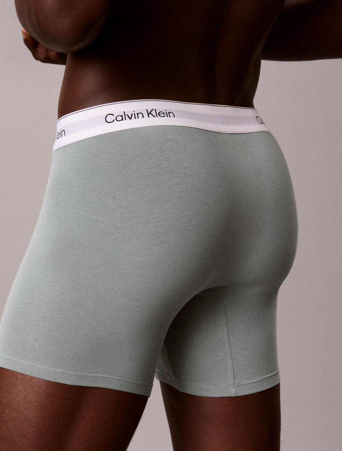 Calvin Klein Icon Cotton Stretch Boxer Brief
