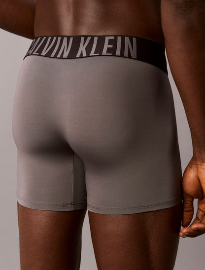 Calvin Klein Intense Power Micro 3-Pack Boxer Brief
