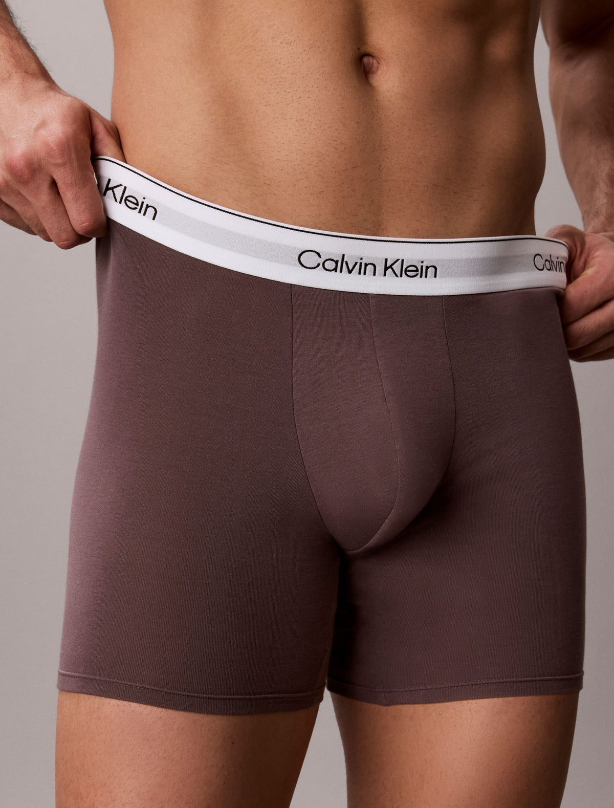 Calvin Klein Icon Cotton Stretch Boxer Brief