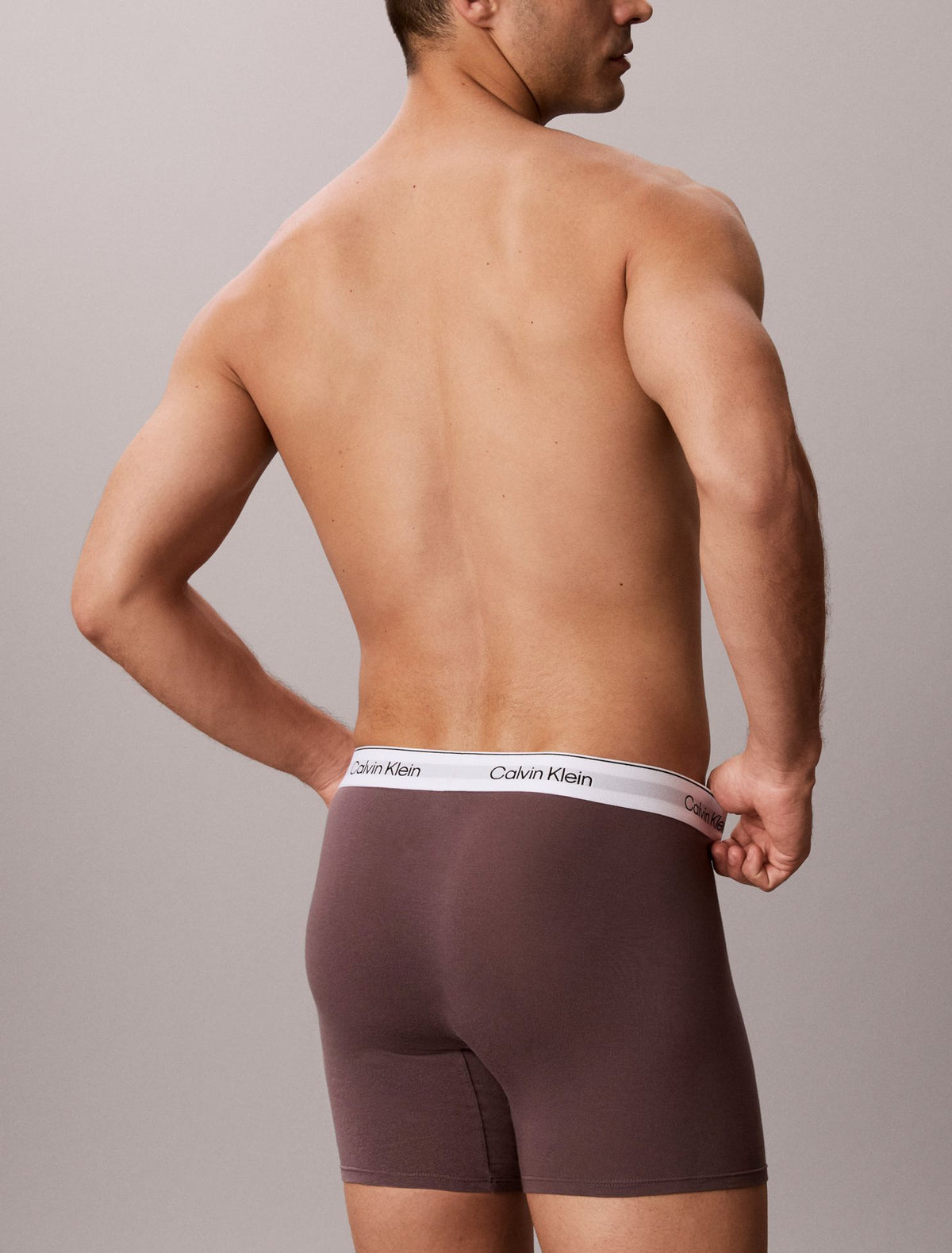 Calvin Klein Icon Cotton Stretch Boxer Brief