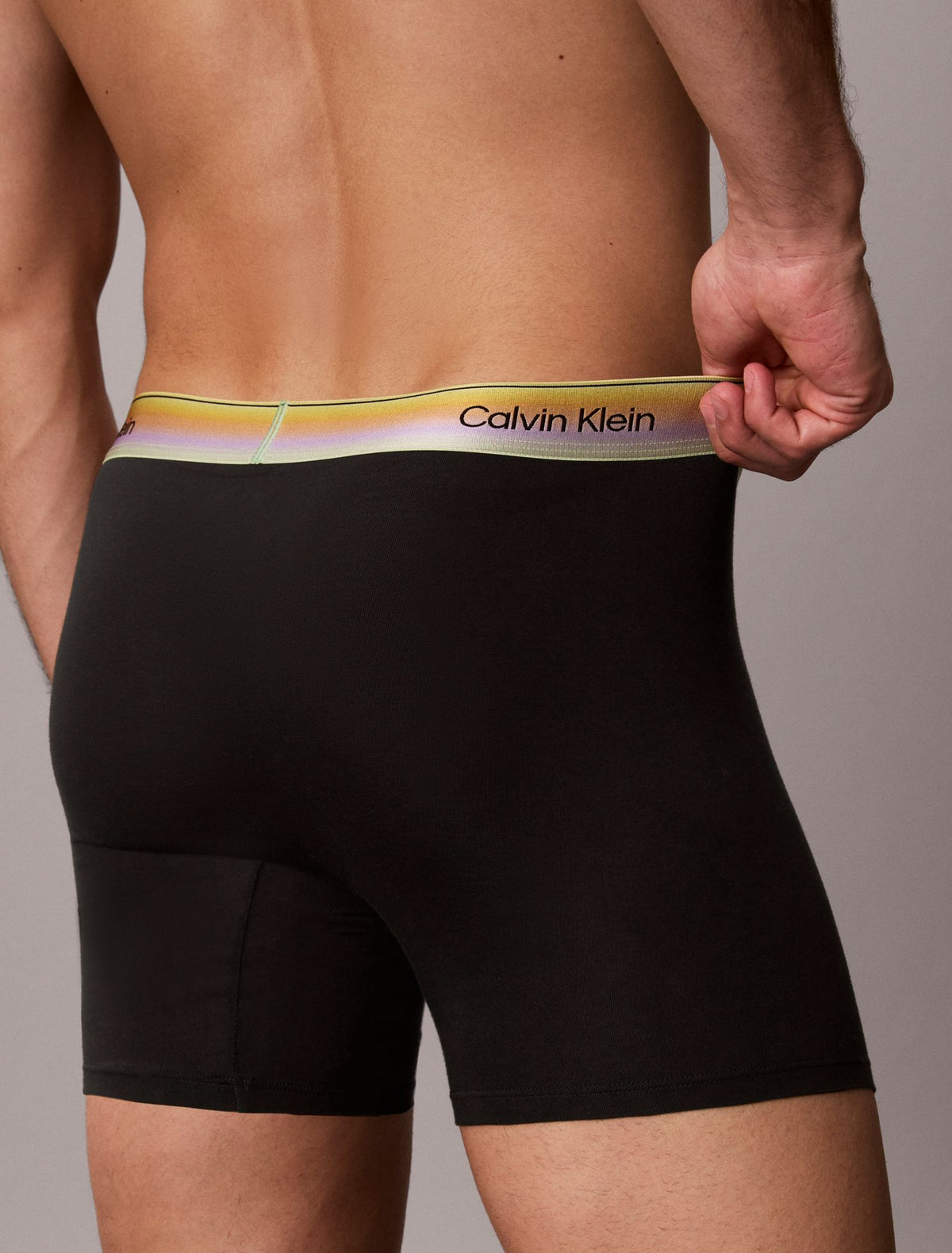 Calvin Klein Icon Cotton Stretch Pride Boxer Brief