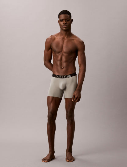 Calvin Klein Intense Power Motion Boxer Brief