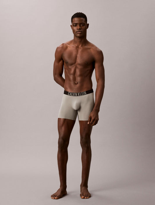Calvin Klein Intense Power Motion Boxer Brief