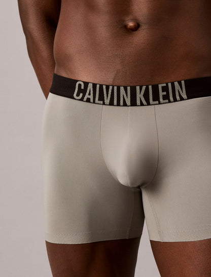 Calvin Klein Intense Power Motion Boxer Brief