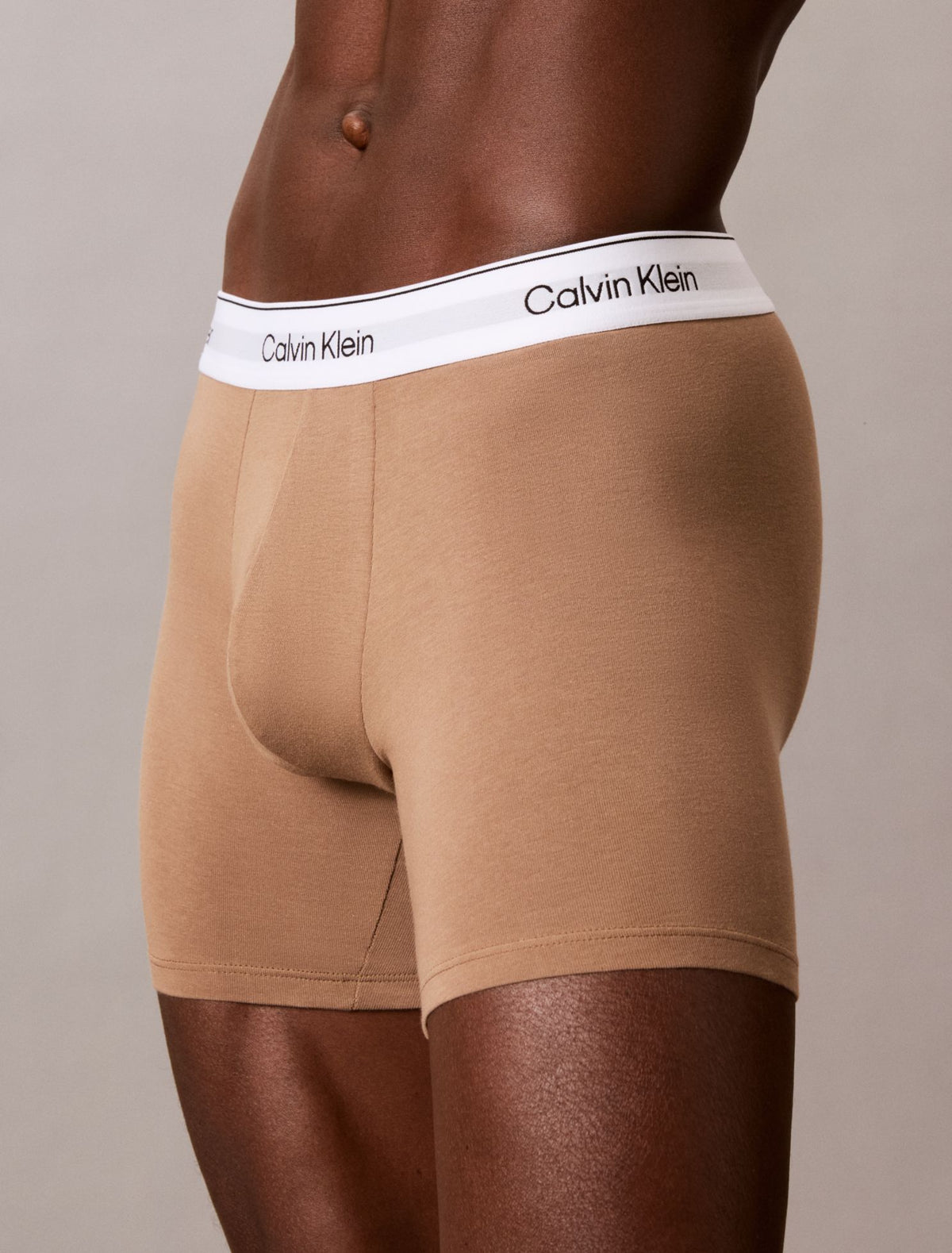 Calvin Klein Icon Cotton Stretch Boxer Brief