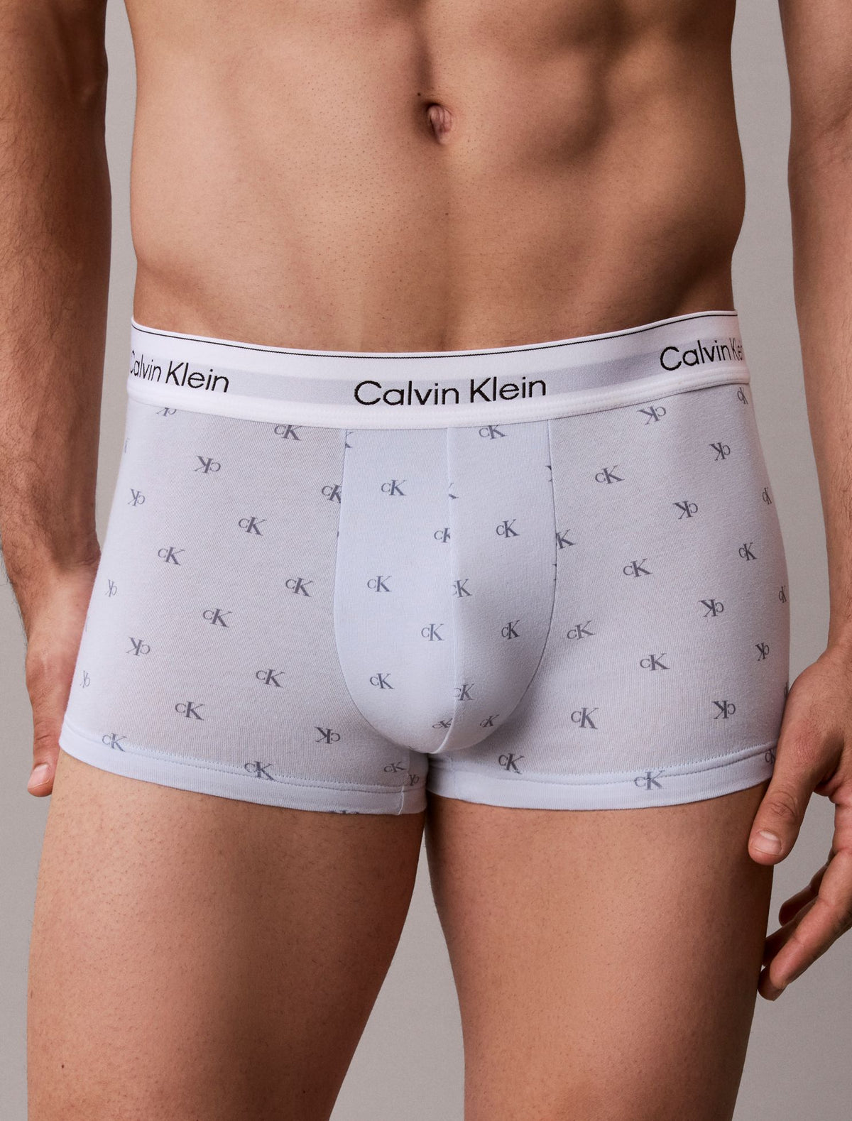 Calvin Klein Icon Cotton Stretch Low Rise Trunk