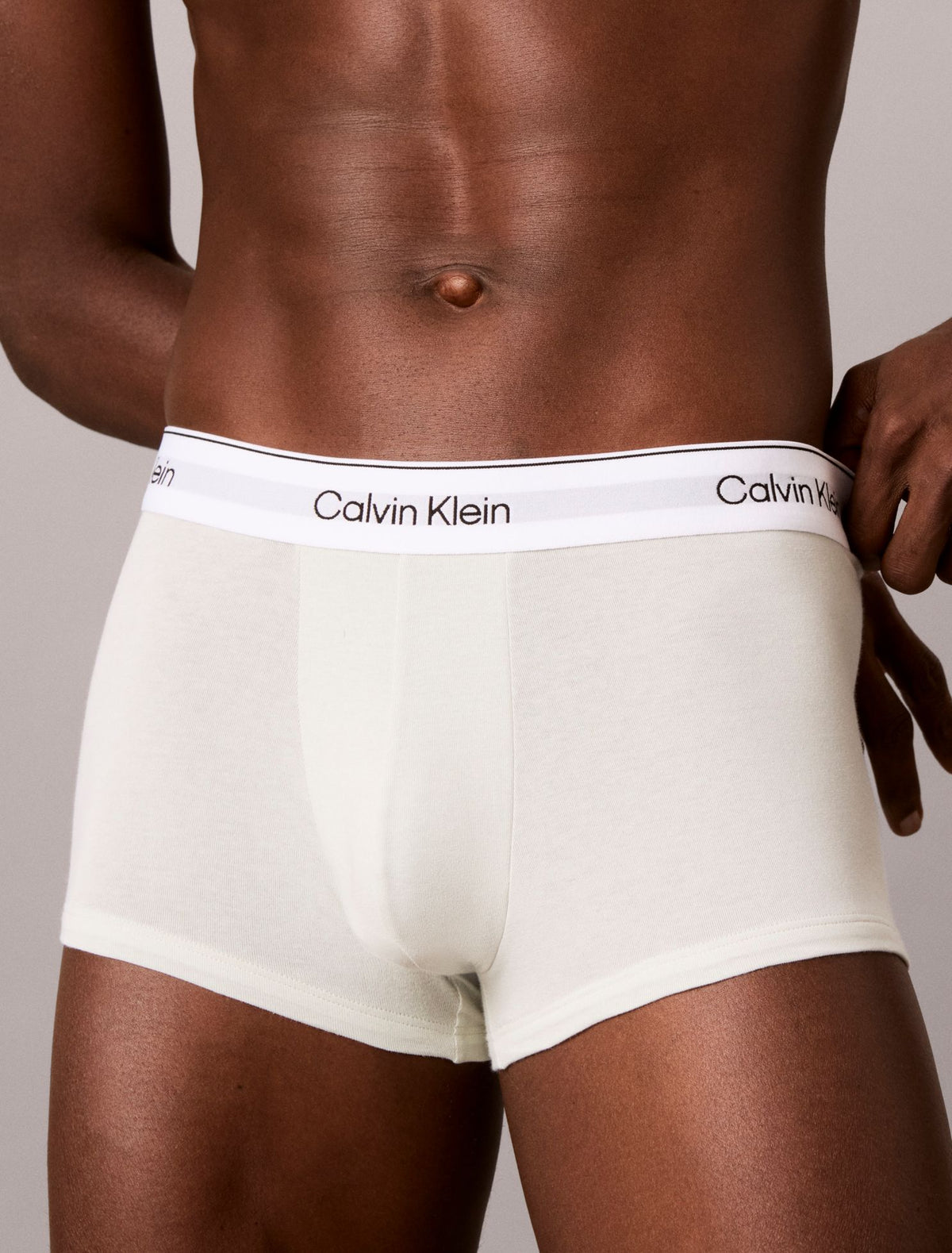Calvin Klein Icon Cotton Stretch Low Rise Trunk