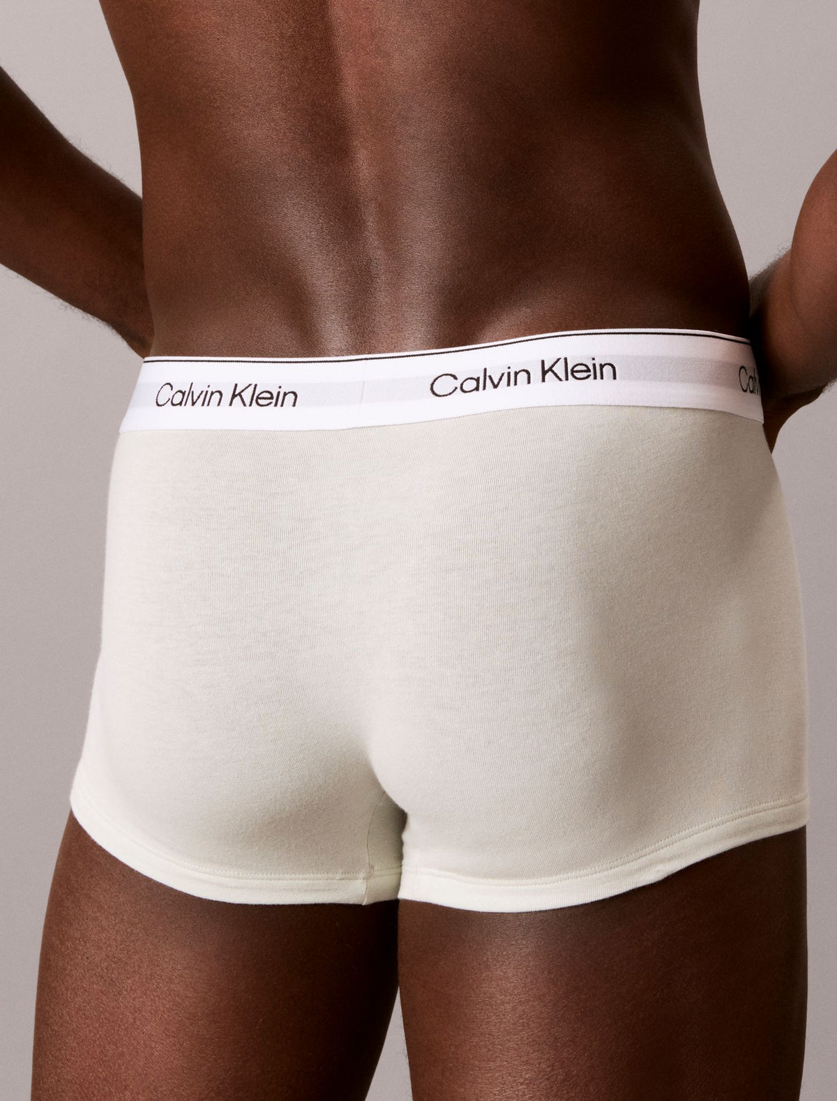 Calvin Klein Icon Cotton Stretch Low Rise Trunk