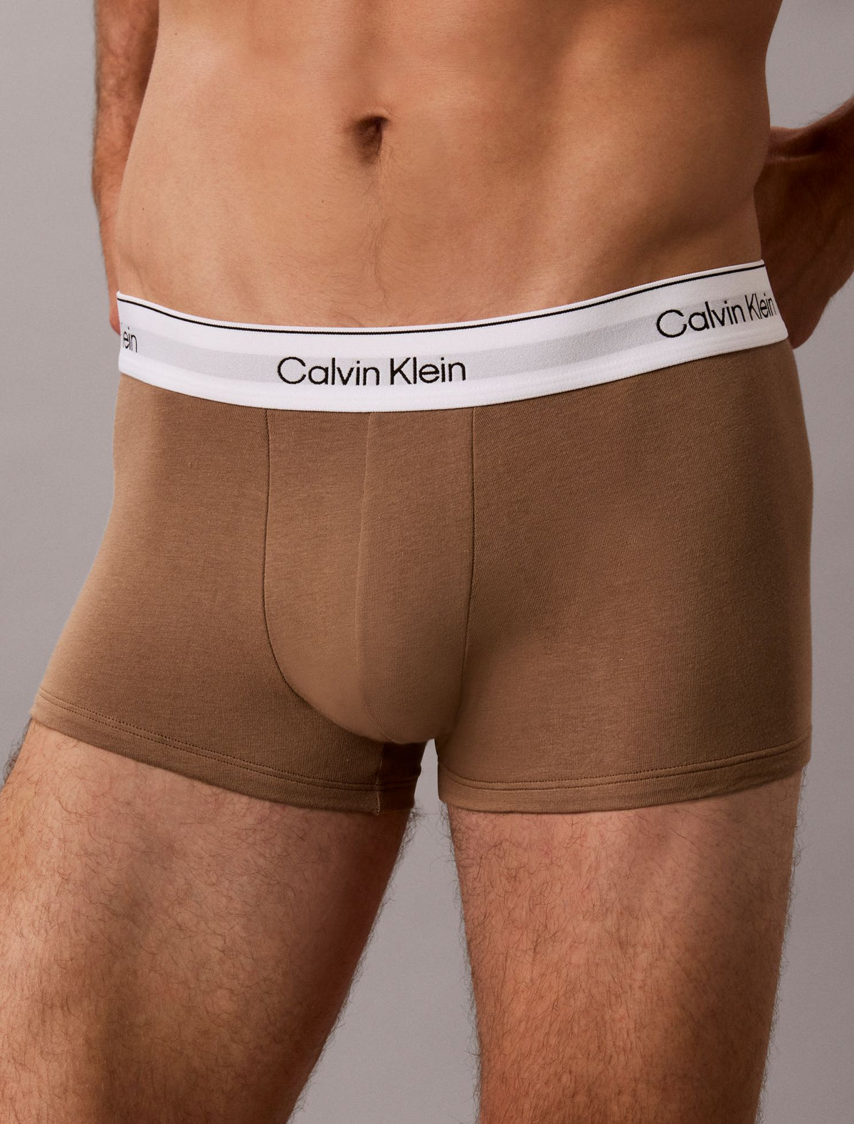 Calvin Klein Icon Cotton Stretch Low Rise Trunk