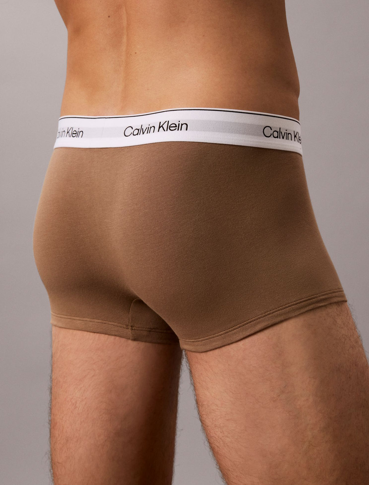 Calvin Klein Icon Cotton Stretch Low Rise Trunk