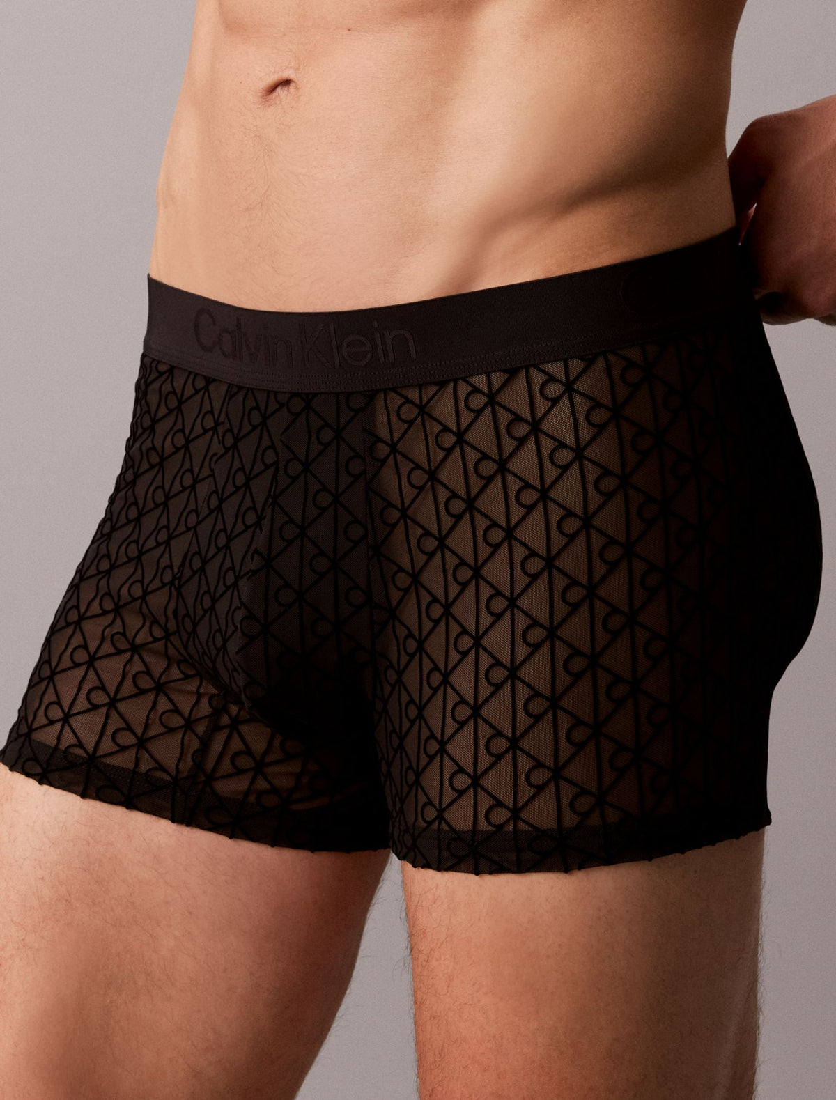 Calvin Klein CK Black Sheer Mesh Trunk