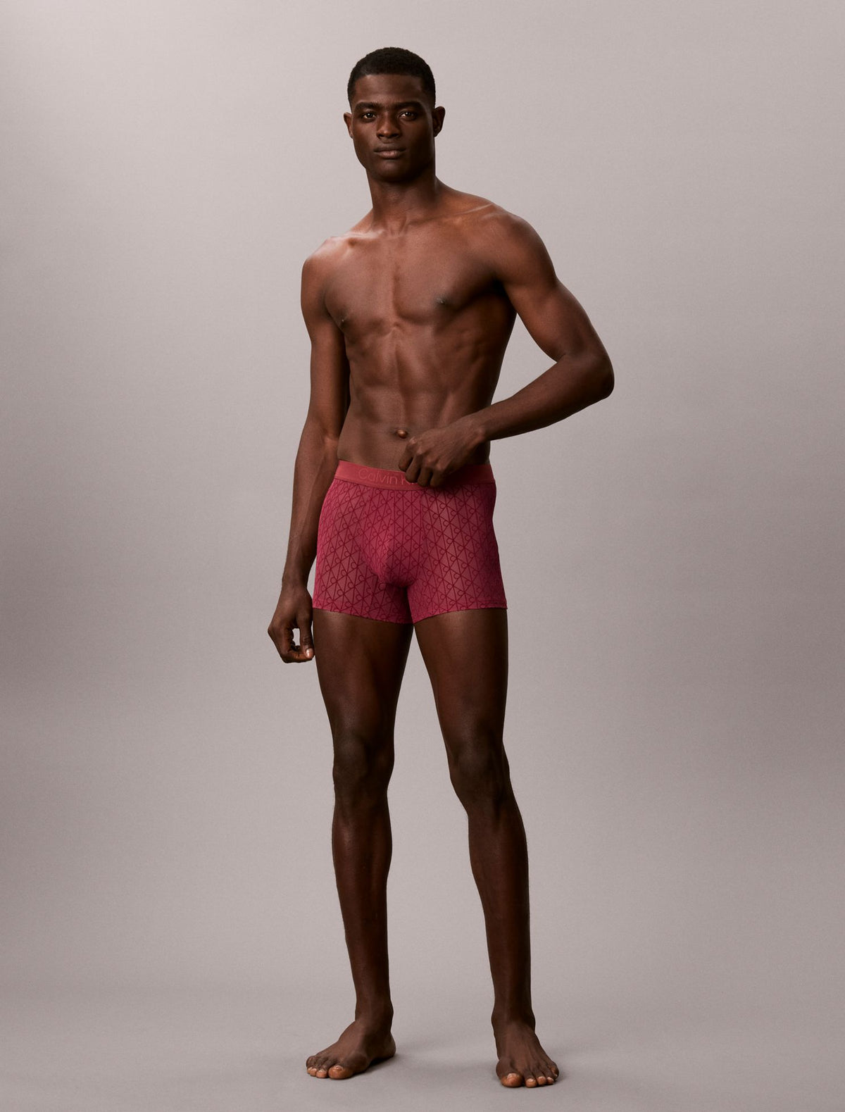Calvin Klein CK Black Sheer Mesh Trunk