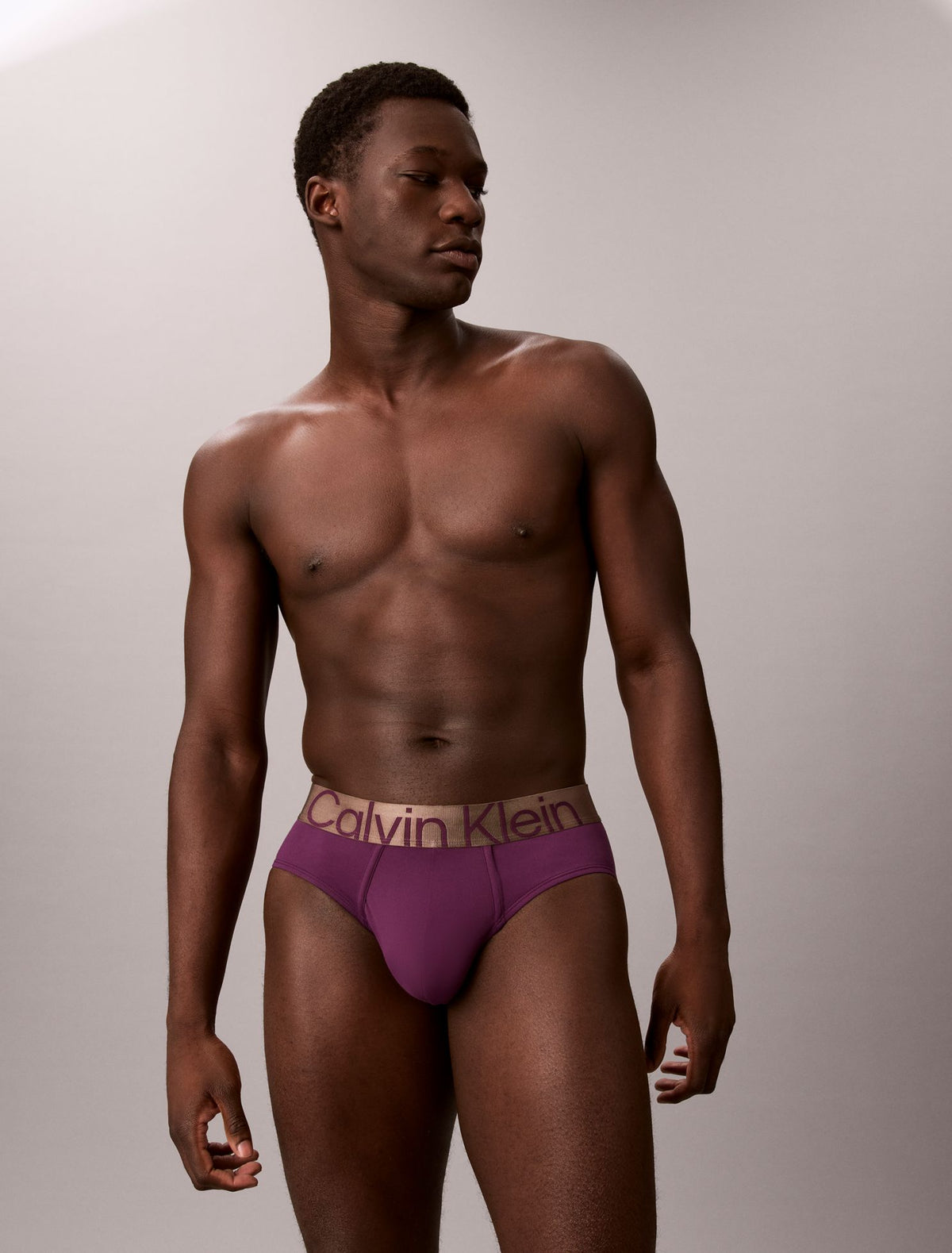 Calvin Klein Brushed Microfiber Stretch Bronze Hip Brief