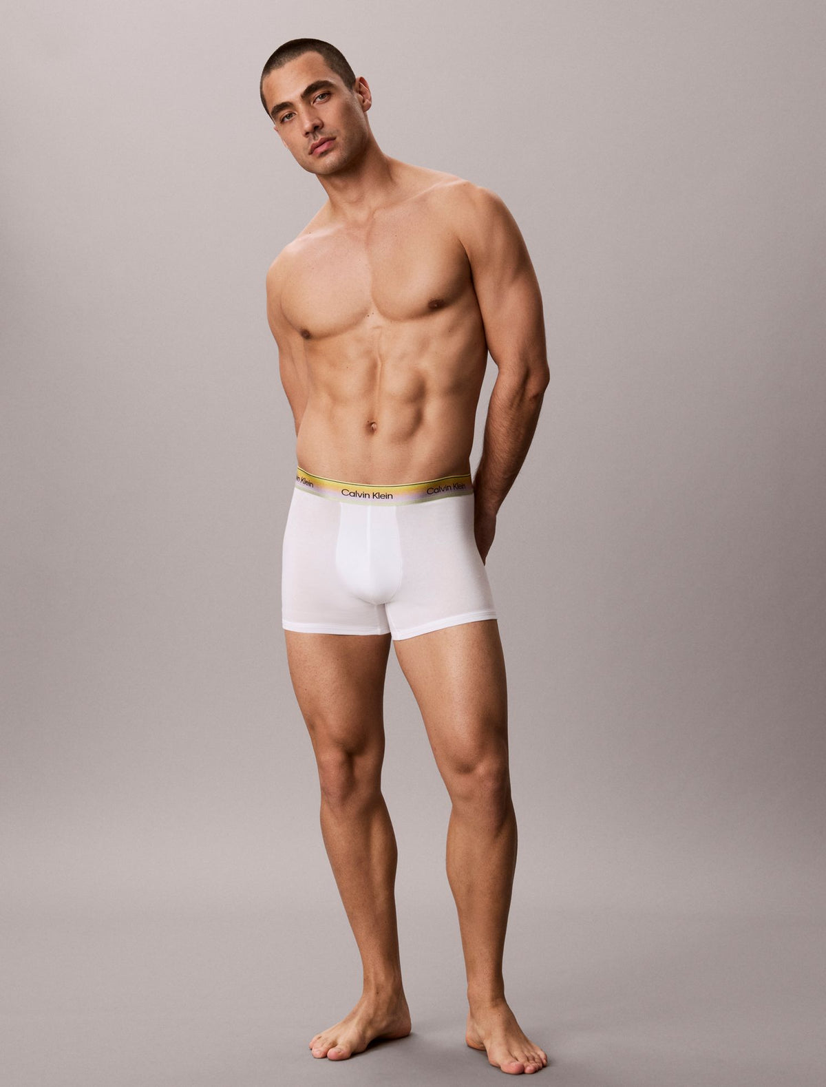 Calvin Klein Icon Cotton Stretch Pride Trunk