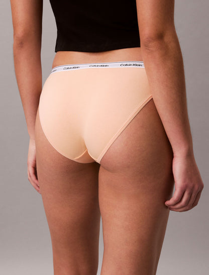 Calvin Klein Icon Logo Bikini