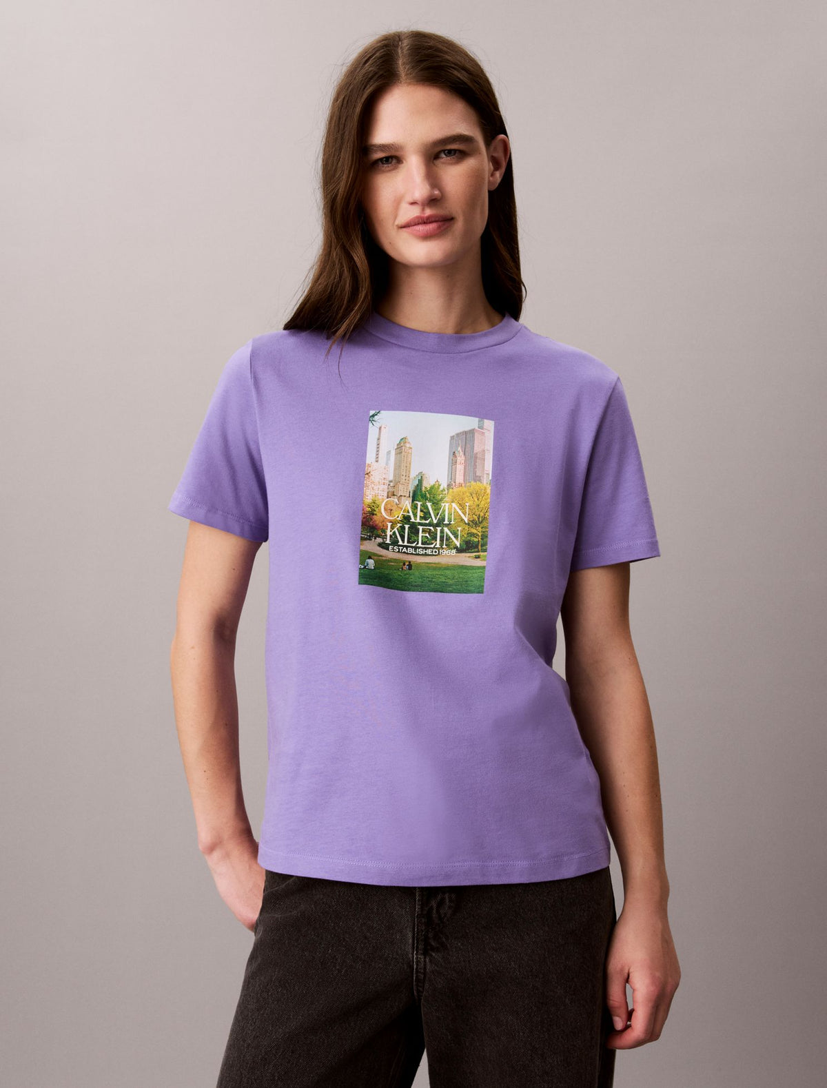 Calvin Klein Classic Central Park Graphic Tee