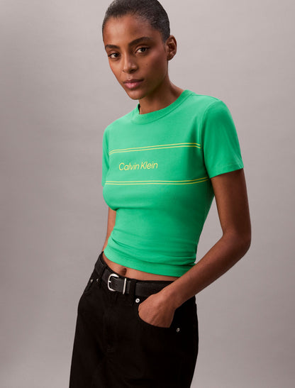 Calvin Klein Stripe Logo Graphic Slim T-Shirt