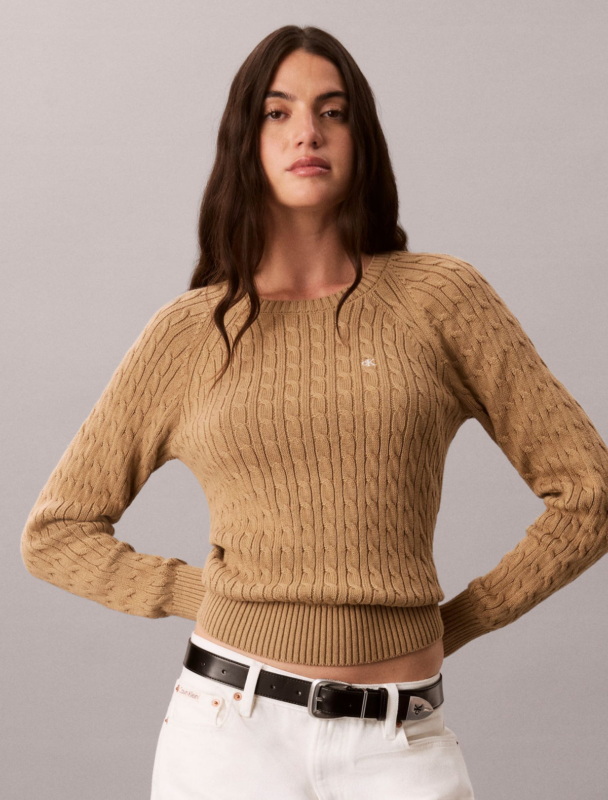 Calvin Klein Cable Knit Crewneck Sweater