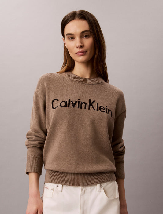Calvin Klein Logo Graphic Relaxed Sweater