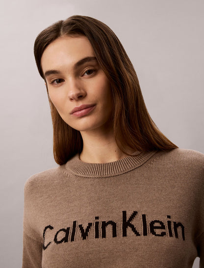 Calvin Klein Logo Graphic Relaxed Sweater